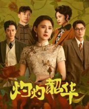 Wild Ambition Bloom (2025)