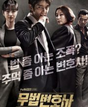 Lawless Lawyer (2018)